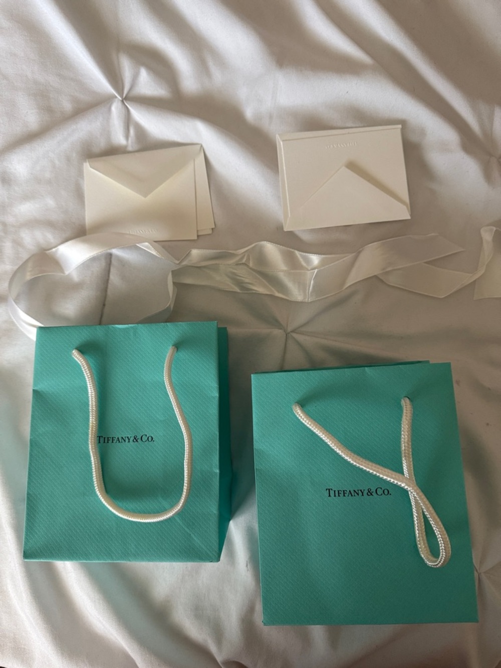 Tiffany & Co. Robin's Egg Blue Gift Bags with White Rope Handles